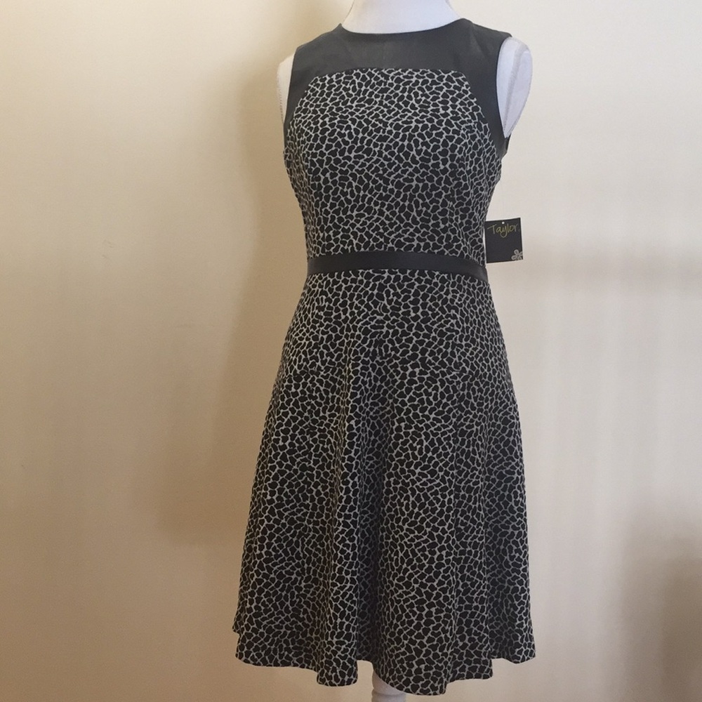 Taylor Black/Ivory Dress
